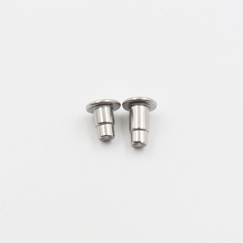 OEM Rivet High Strength Fastener Factory Price Customized Wholesale Stainless Steel Rivets
