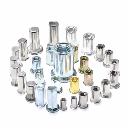Blind End SS304 SS316 18-8 A2 Metric M6 M8 Reduced Head Half Hex Body Rivet Nuts with Close End
