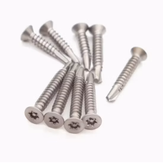 Duplex 2205 Fasteners Torx Pan Head Self Drilling Screw Anti-Theft Roofing Screw Tamper Proof Machine Screw Torx Tek Screws